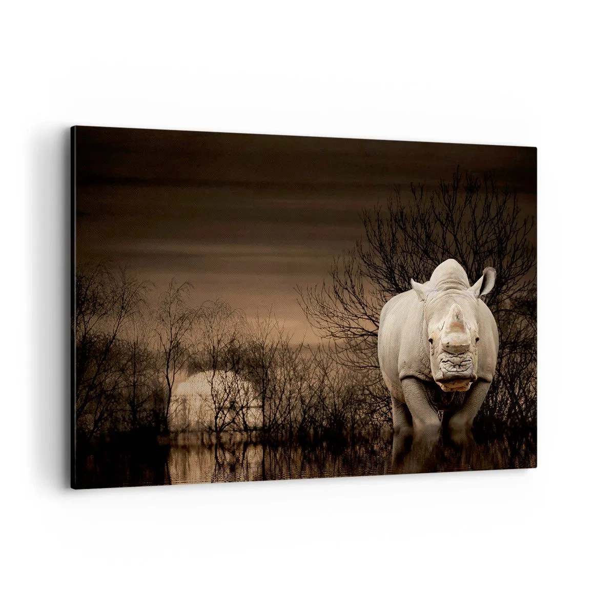 Impression sur toile - Image sur toile - Rhinocéros parmi les arbres au coucher du soleil, nature sauvage. - 100x70cm - Blanc contre nature - Décoration murale moderne pour le salon et la chambre ARTTOR