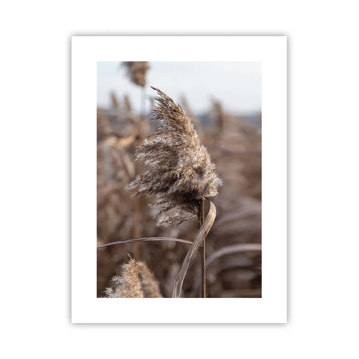 Affiche - Poster - Il est temps de s'envoler avec le vent - 30x40 cm
