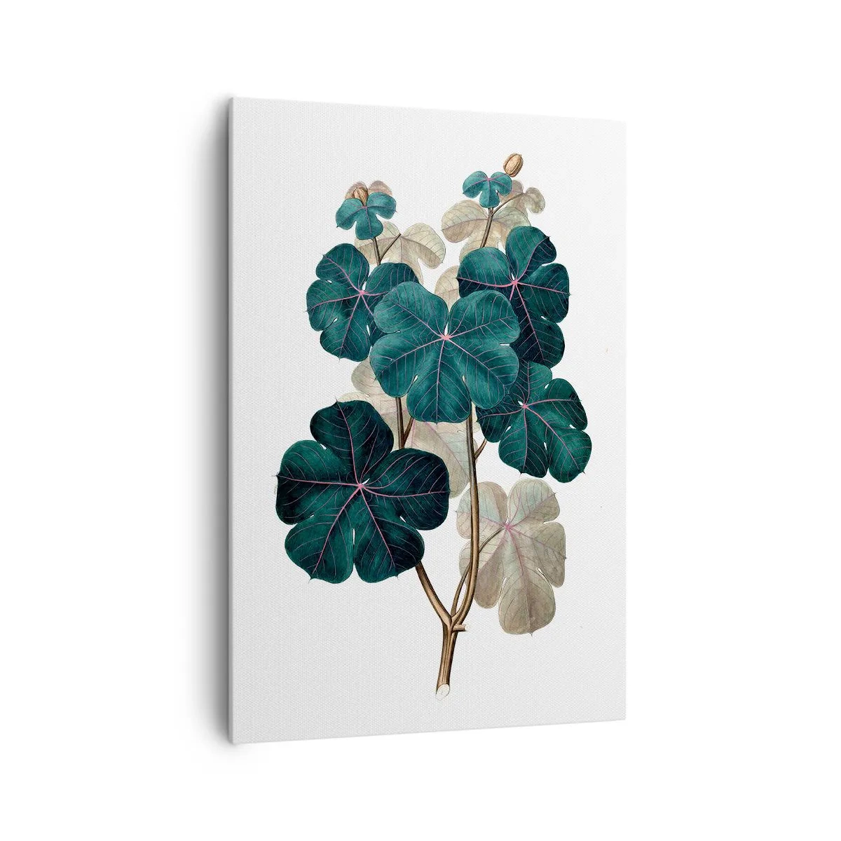 Impression sur toile - Image sur toile - Illustration botanique avec des feuilles dans les tons de vert et de beige - 70x100cm - De l'ancien herbier - Décoration murale moderne pour le salon et la chambre ARTTOR