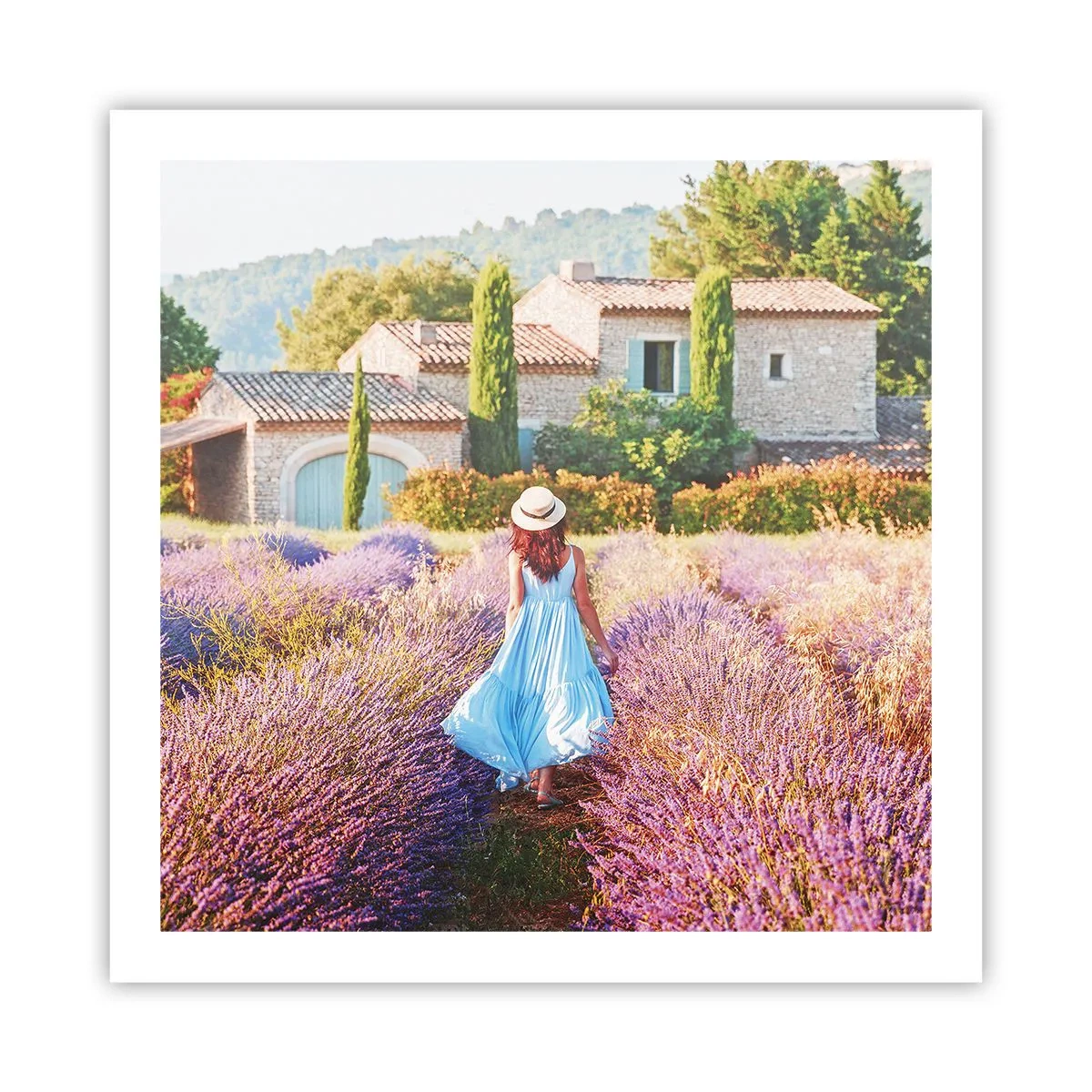 Affiche - Poster - Fille de la lavande - 60x60 cm