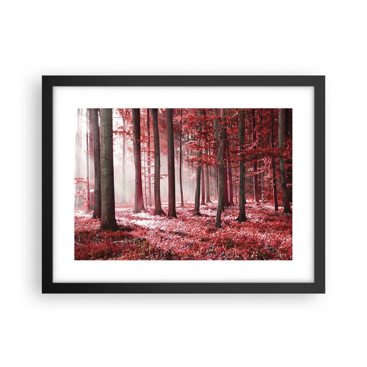 Affiche dans un cadre noir - Poster - Le rouge est tout aussi beau - 40x30 cm