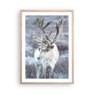 Affiche dans un chêne clair - Poster - Portrait au soleil - 50x70 cm