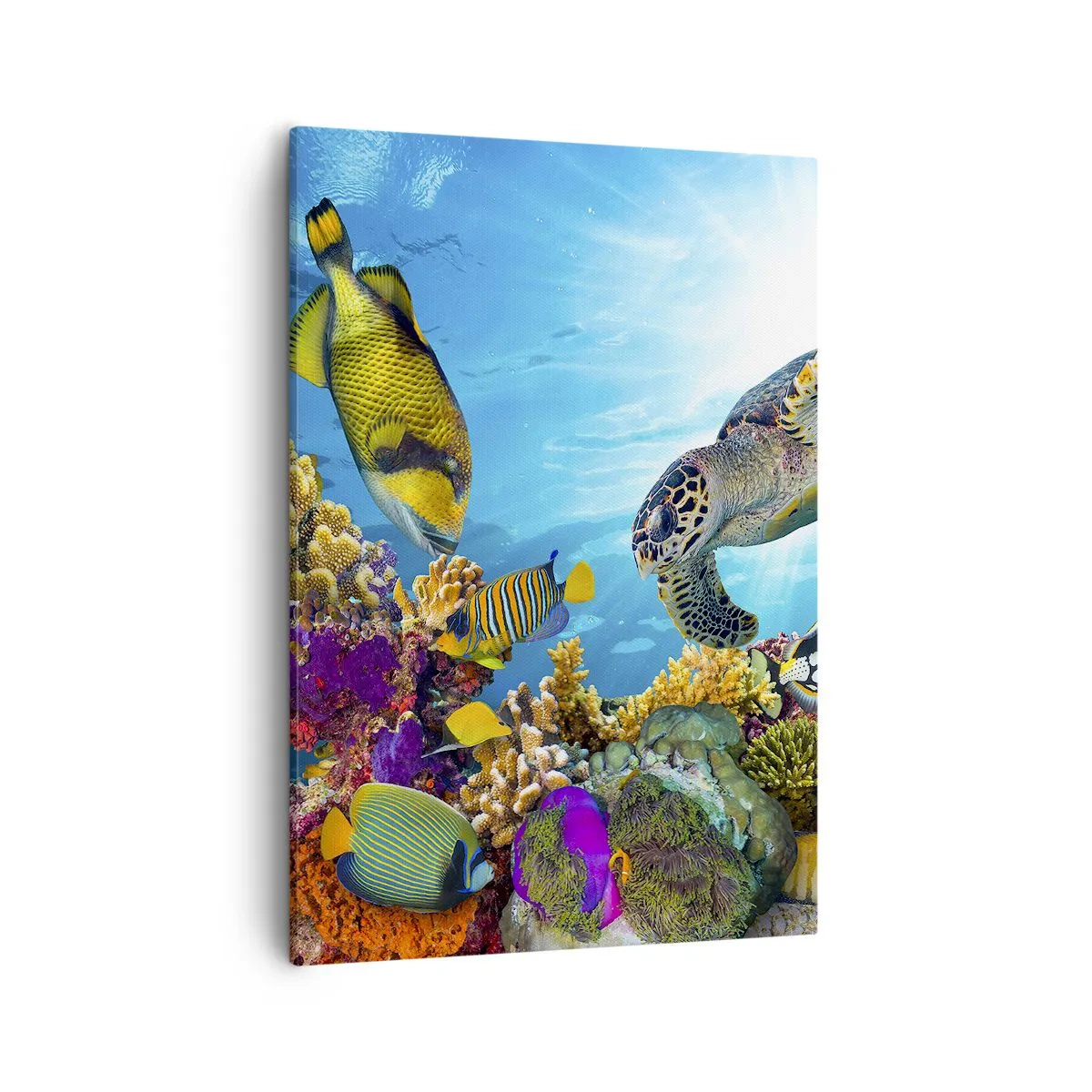 Impression sur toile - Image sur toile - Monde sous-marin avec des poissons colorés et une tortue dans le corail - 50x70cm - Promenade de corail - Décoration murale moderne pour le salon et la chambre ARTTOR