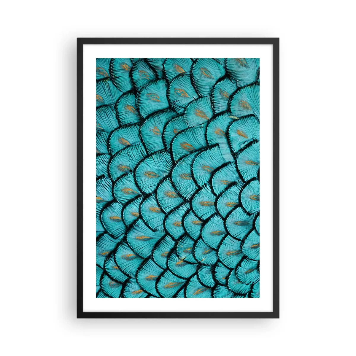 Affiche dans un cadre noir - Poster - Photographie macro de plumes turquoise avec un motif unique - 50x70cm - Le grand gala des plumes - Décoration murale moderne pour le salon et la chambre ARTTOR