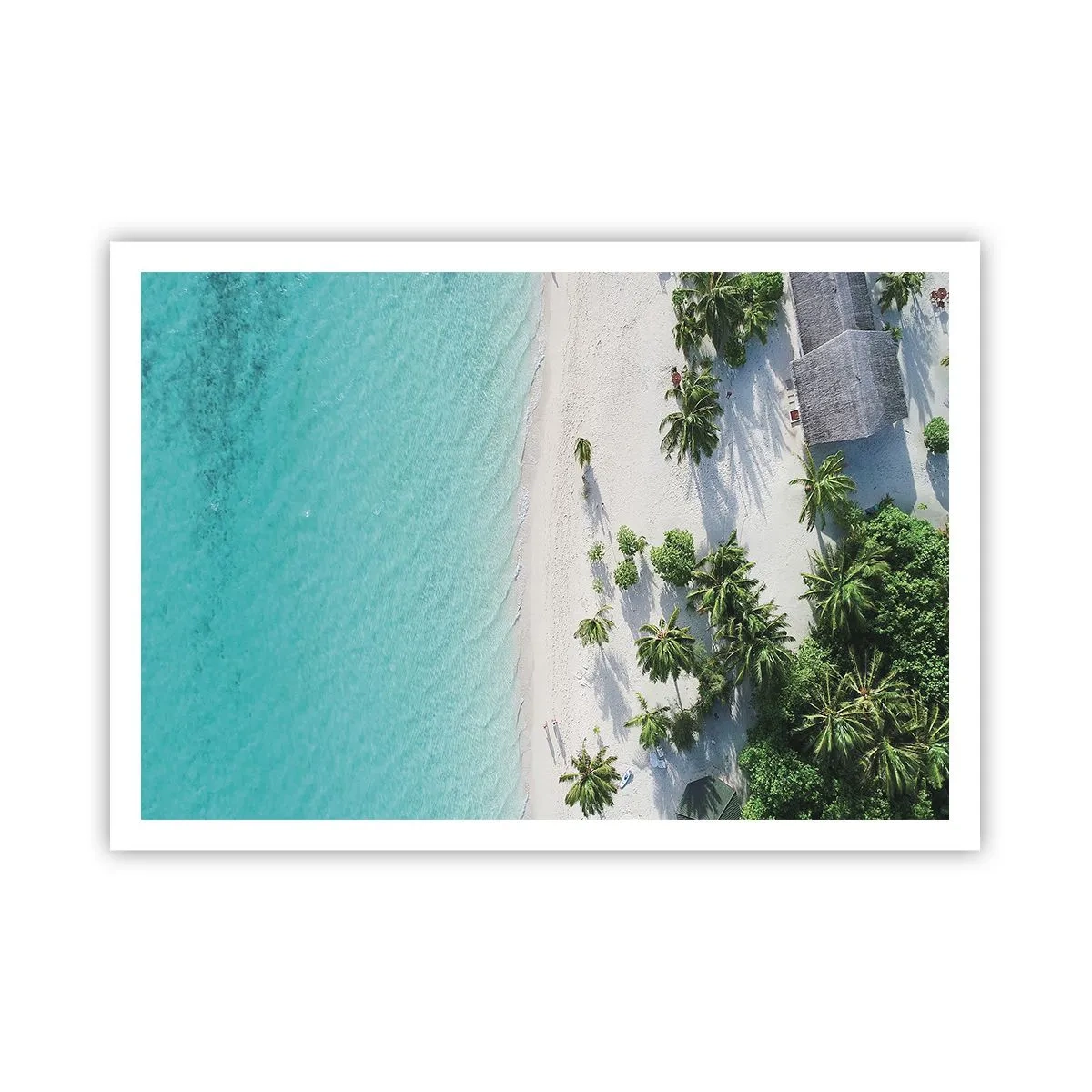 Affiche - Poster - Vue plongeante sur une plage tropicale avec de l'eau turquoise et des palmiers - 100x70cm - Vacances au paradis - Décoration murale moderne pour le salon et la chambre ARTTOR