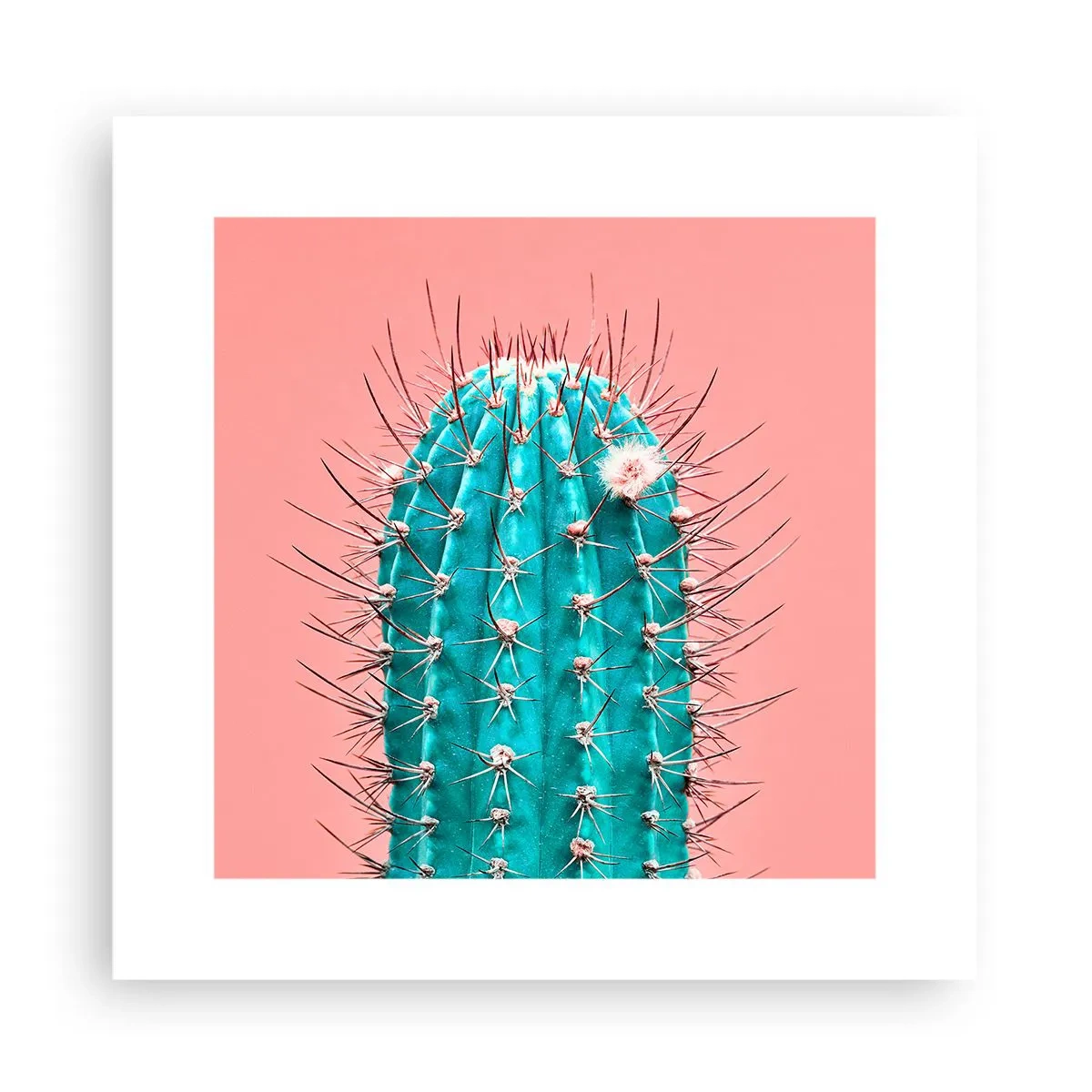 Affiche - Poster - Juste regarde - 30x30 cm