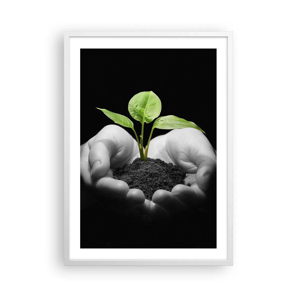 Affiche dans un cadre blanc - Poster - J'aime la nature, je la protège - 50x70 cm