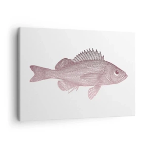 Impression sur toile - Image sur toile - Illustration détaillée d'un poisson sur fond blanc - 70x50cm - Poisson aux grands yeux - Décoration murale moderne pour le salon et la chambre ARTTOR