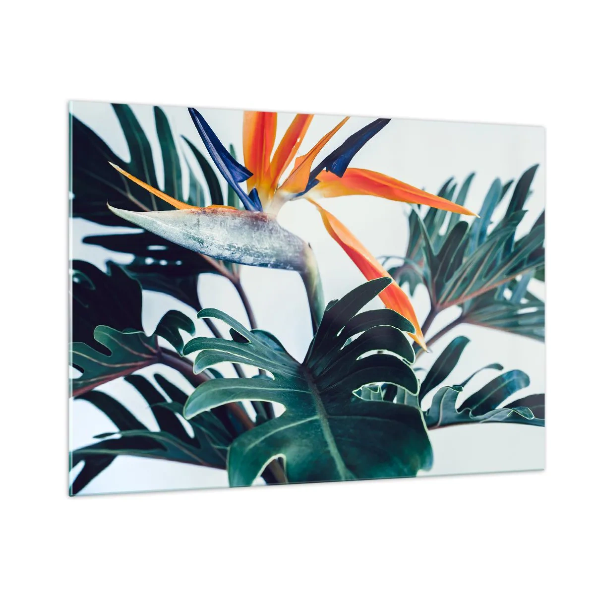 Impression sur verre - Image sur verre - Plante exotique avec fleur d'oiseau de paradis - 100x70cm - Le buisson oiseaux - Décoration murale moderne pour le salon et la chambre ARTTOR