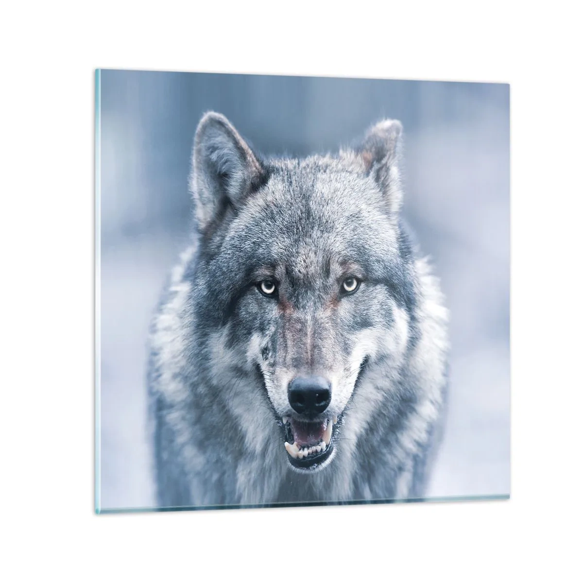 Impression sur verre - Image sur verre - Relèverez-vous le défi ? - 30x30 cm