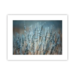 Affiche - Poster - Tige odorante - 40x30 cm