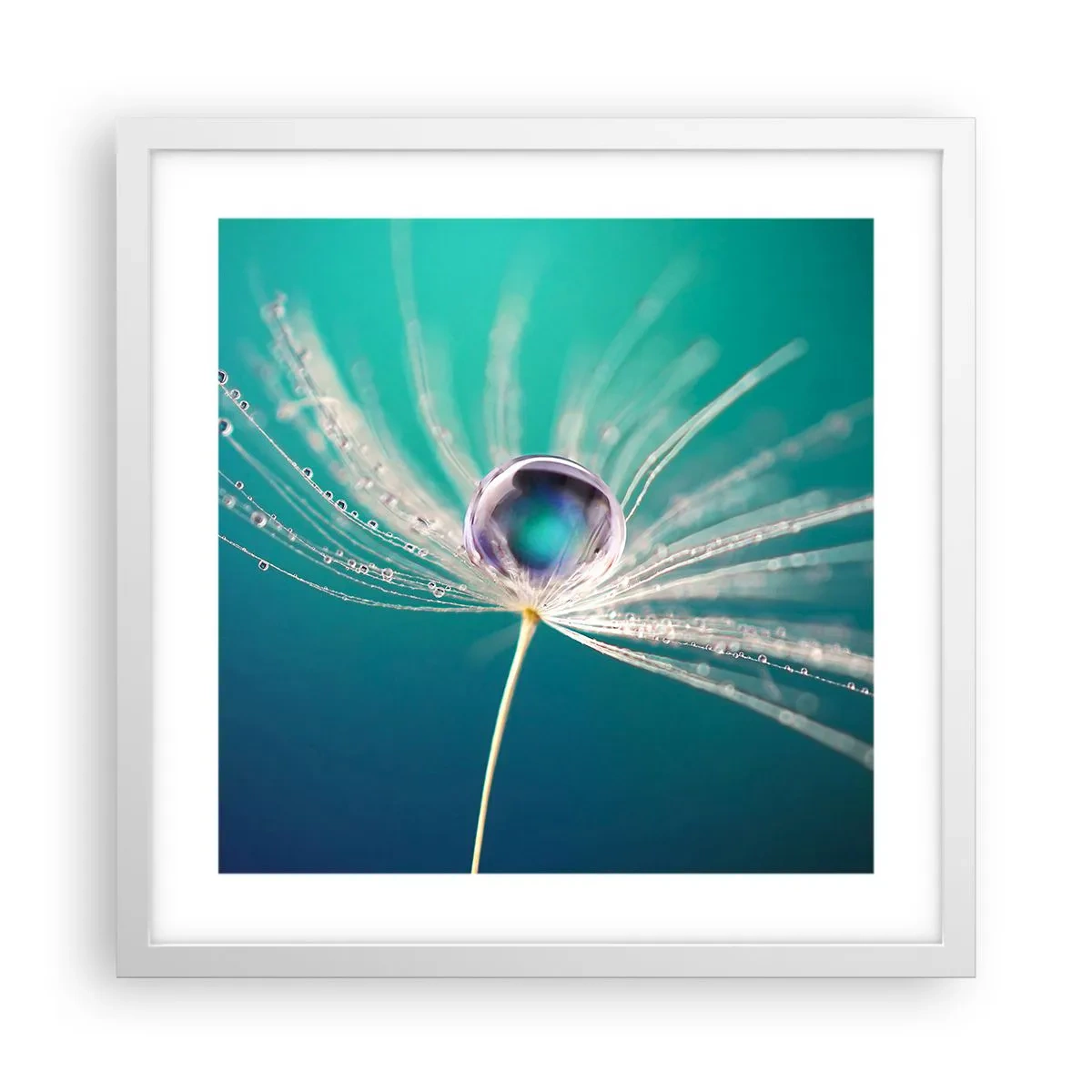 Affiche dans un cadre blanc - Poster - Moment mystique - 40x40 cm