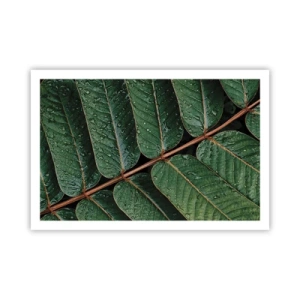 Affiche - Poster - Au rythme de la verdure - 91x61 cm