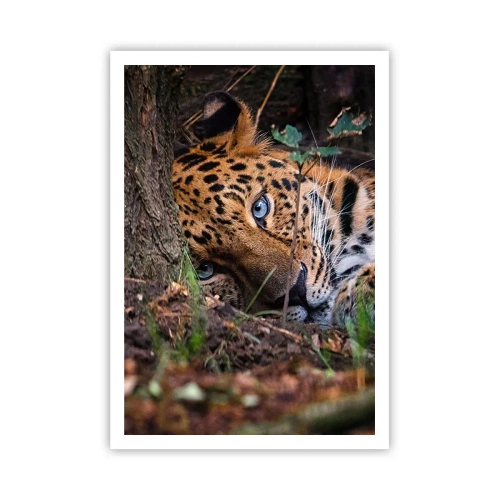 Affiche - Poster - Fais-moi confiance - 70x100 cm