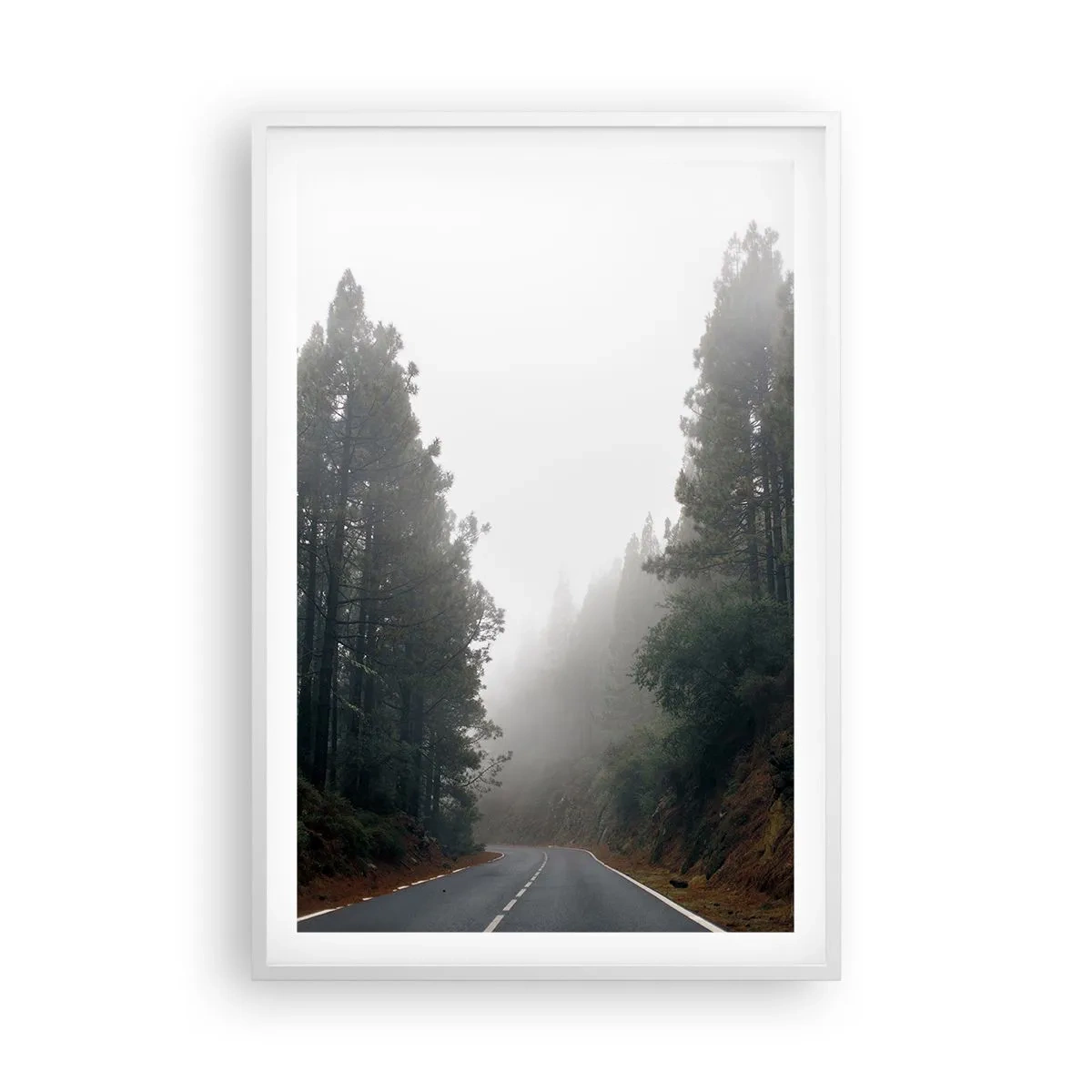 Affiche dans un cadre blanc - Poster - Conte de la forêt magique - 61x91 cm