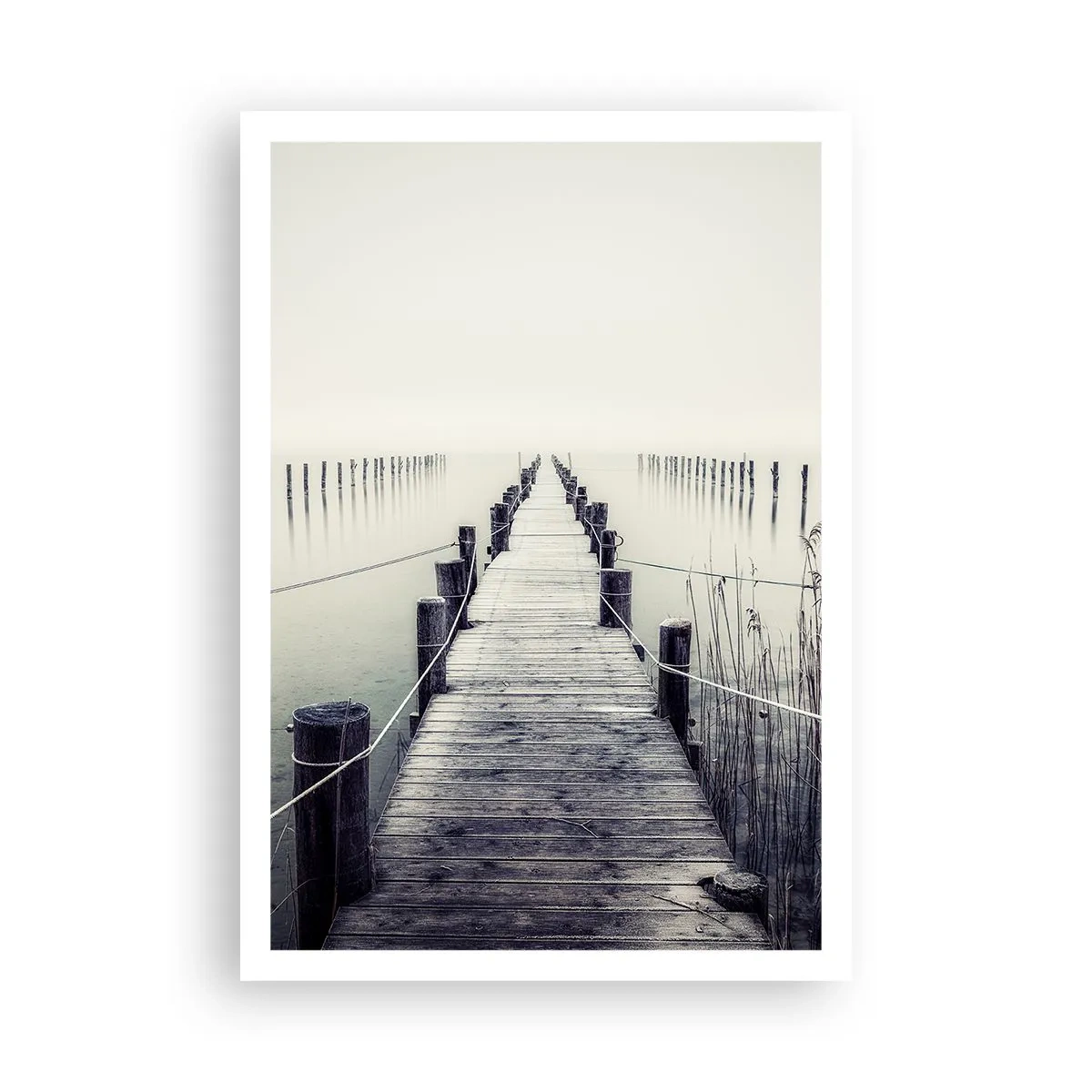 Affiche - Poster - Plongez dans la paix - 70x100 cm