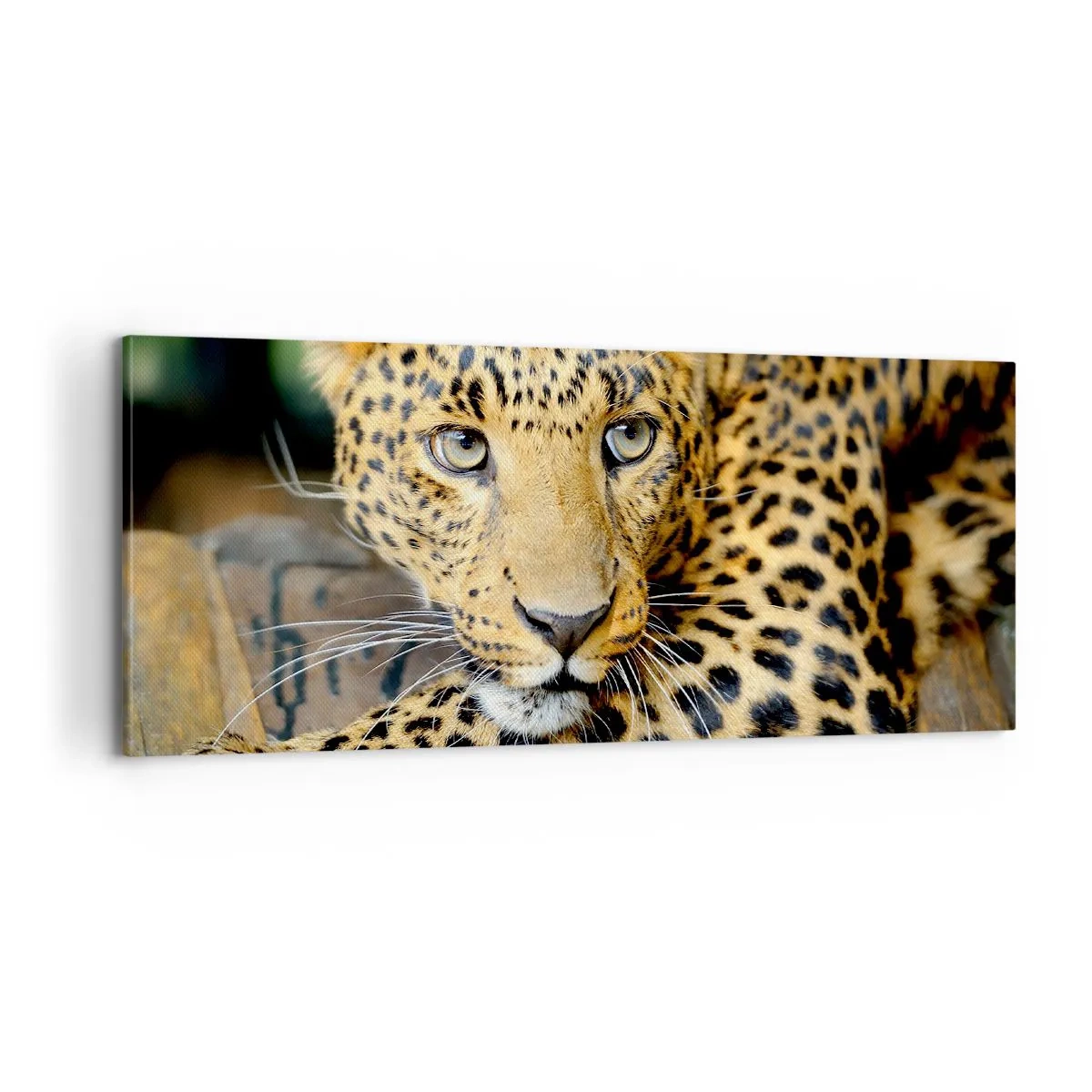 Impression sur toile - Image sur toile - N'aie pas peur, viens - 100x40 cm
