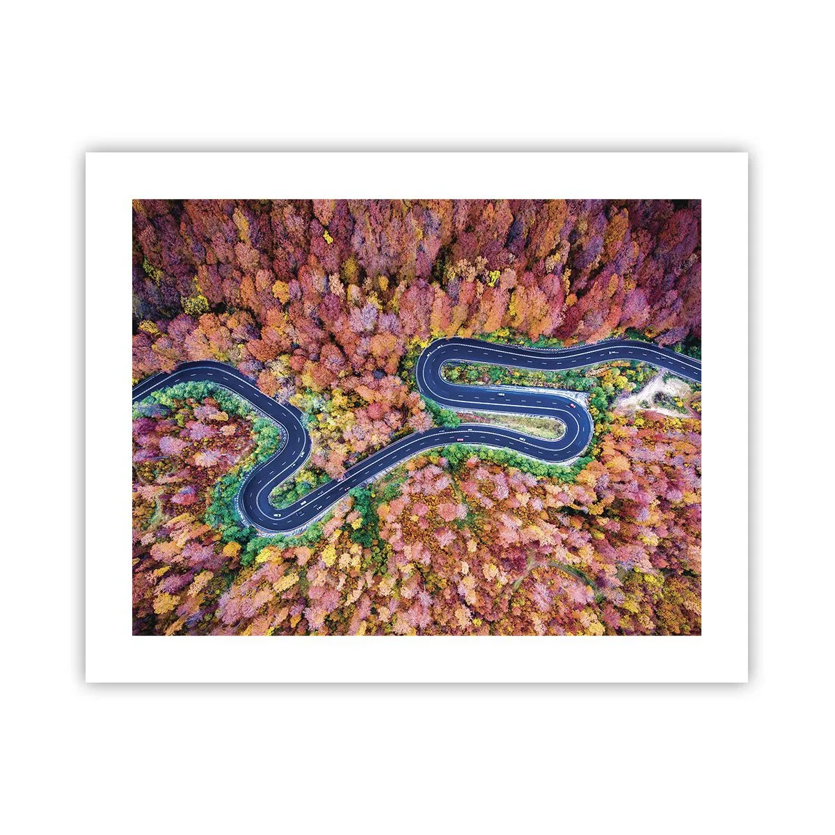 Affiche - Poster - Route sinueuse à travers la forêt - 50x40 cm