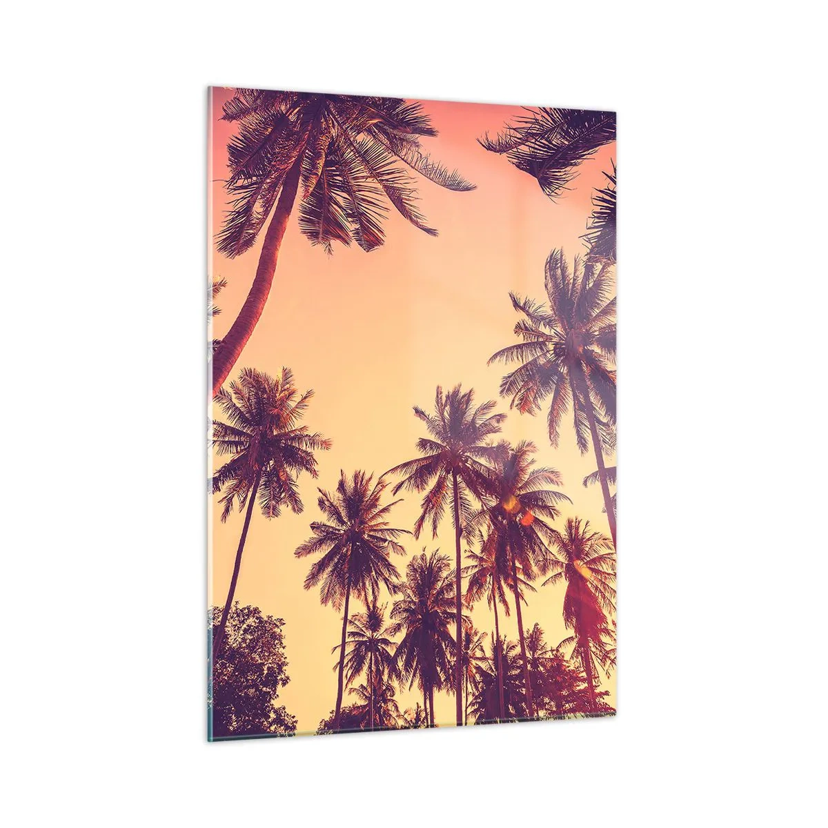 Impression sur verre - Image sur verre - Palmiers dans les rayons du soleil couchant - 50x70cm - Variation tropicale - Décoration murale moderne pour le salon et la chambre ARTTOR