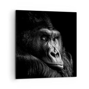 Impression sur toile - Image sur toile - Et qu'est-ce que tu regardes? - 50x50 cm