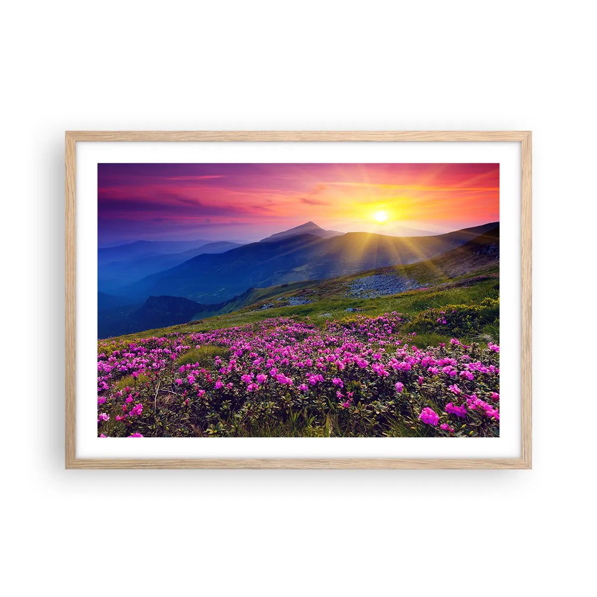 Affiche dans un chêne clair - Poster - … Et autour, ça sent le pin des montagnes et l'odeur de la prairie - 70x50 cm