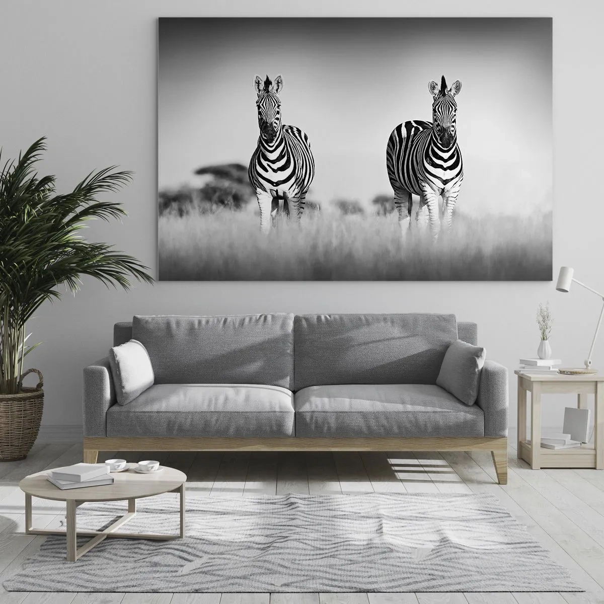 Impression sur verre - Image sur verre - Une paire de zèbres sur un fond d'herbe noir et blanc, représentés dans leur habitat naturel. - 70x50cm - Le monde est bel et bien noir et blanc - Décoration murale moderne pour le salon et la chambre ARTTOR