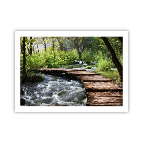 Affiche - Poster - Au-dessus de la cascade mousseuse - 70x50 cm