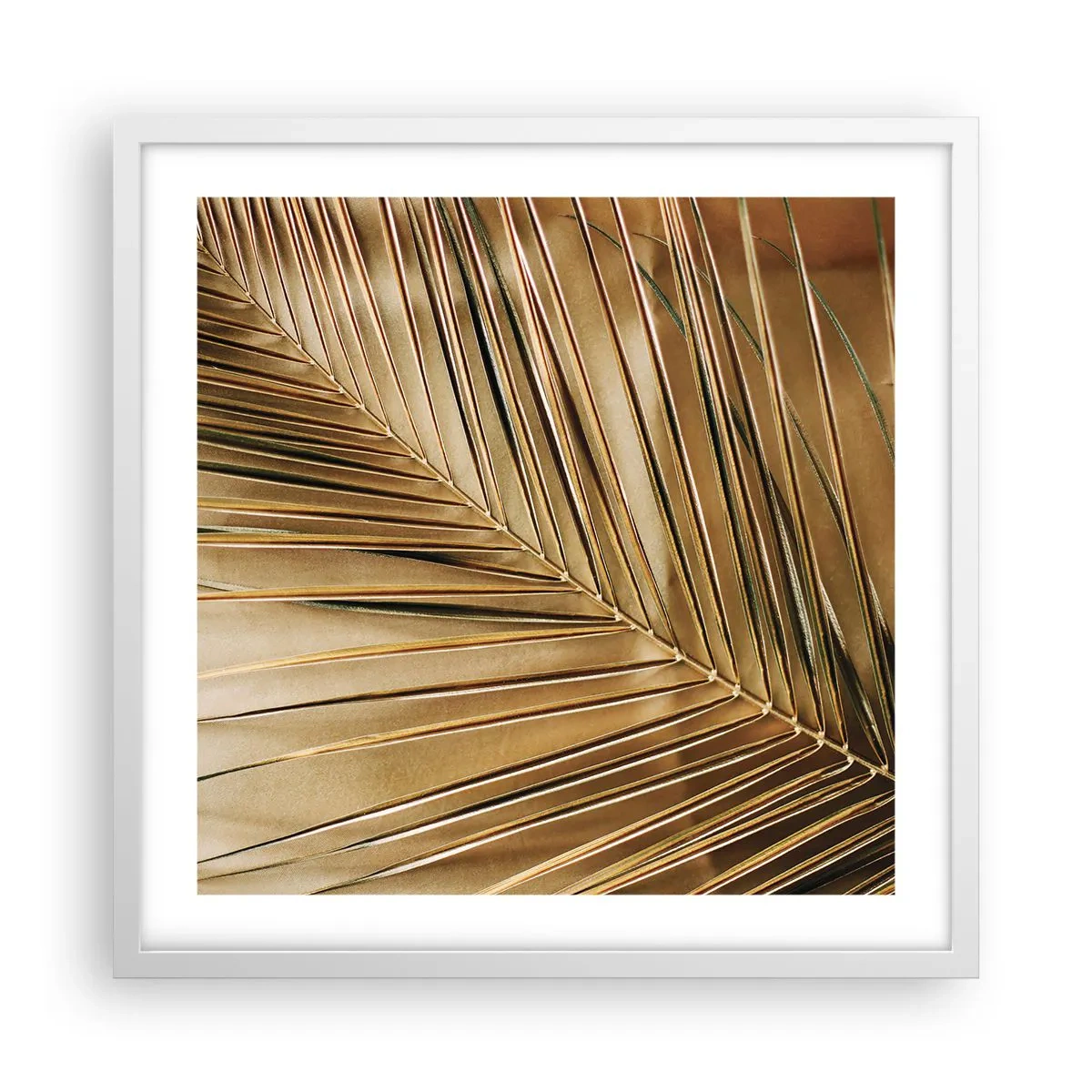 Affiche dans un cadre blanc - Poster - Colonnade naturelle - 50x50 cm