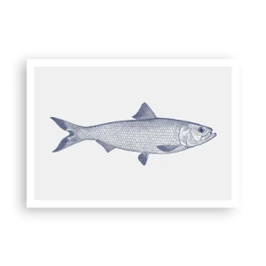 Affiche - Poster - Illustration d'un poisson dans des tons de bleu sur fond clair - 100x70cm - Salutations des mers du nord - Décoration murale moderne pour le salon et la chambre ARTTOR