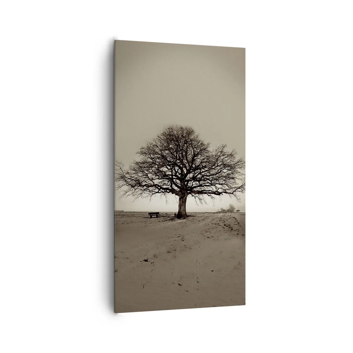 Impression sur toile - Image sur toile - D'ici à l'éternité - 65x120 cm