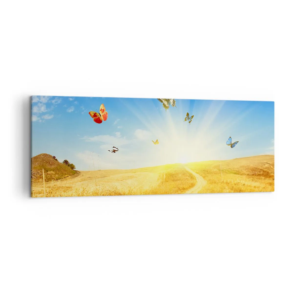 Impression sur toile - Image sur toile - Un champ doré, un chemin et des papillons contre un ciel bleu - 140x50cm - Et comment ne pas aimer l'été ? - Décoration murale moderne pour le salon et la chambre ARTTOR