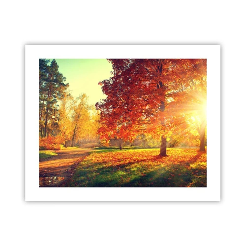 Affiche - Poster - Le roux est beau - 50x40 cm