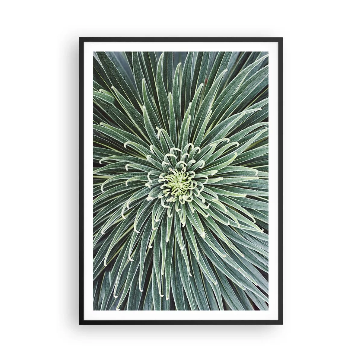 Affiche dans un cadre noir - Poster - Naissance d'une étoile - 70x100 cm