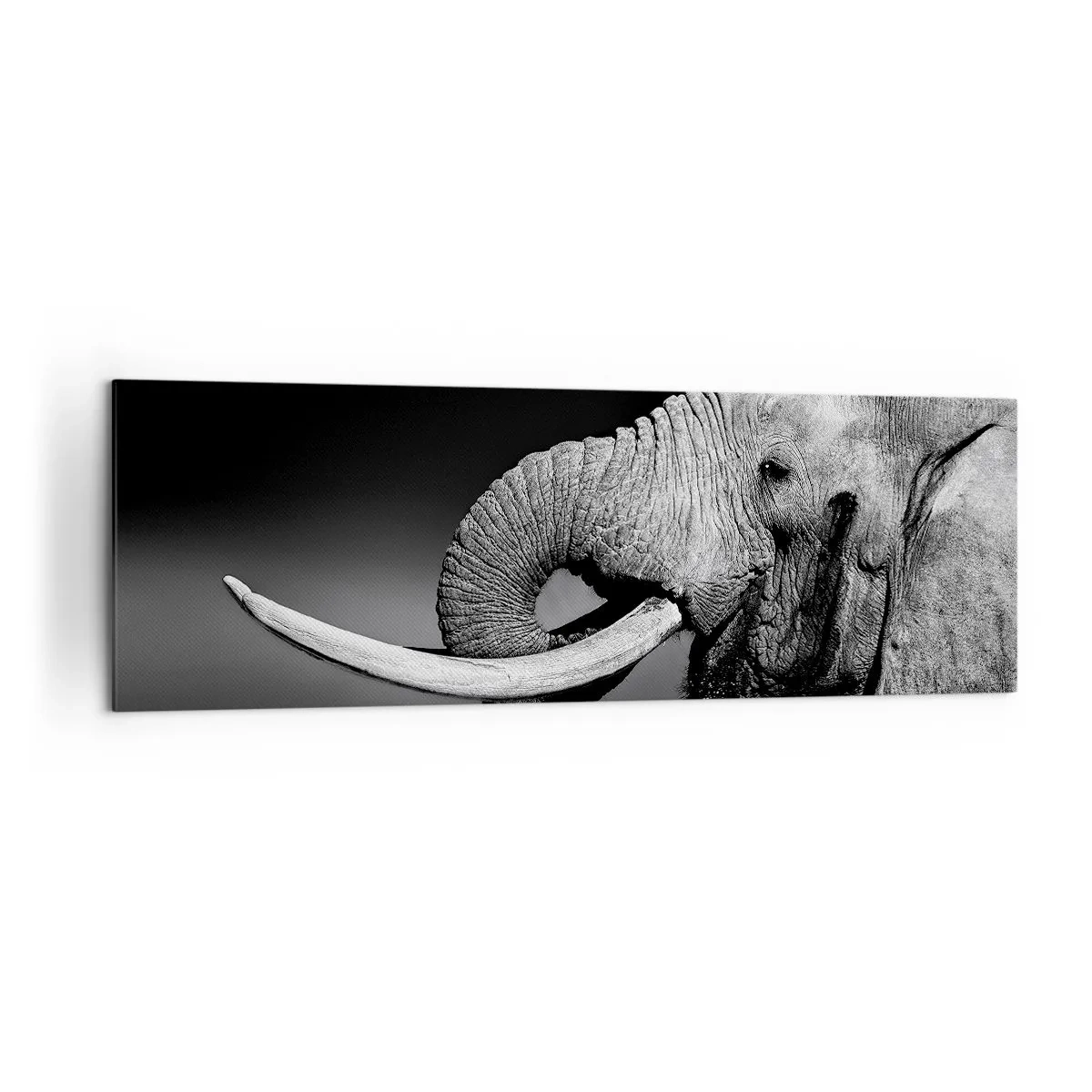 Impression sur toile - Image sur toile - Portrait noir et blanc d'un éléphant de profil - 160x50cm - Oui, c'est bon maintenant - Décoration murale moderne pour le salon et la chambre ARTTOR