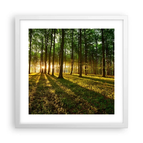 Affiche dans un cadre blanc - Poster - Toutes les photographies de printemps - 40x40 cm