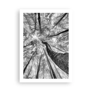 Affiche - Poster - Perspective d'arbres en noir et blanc - 50x70cm - Course vers la lumière - Décoration murale moderne pour le salon et la chambre ARTTOR