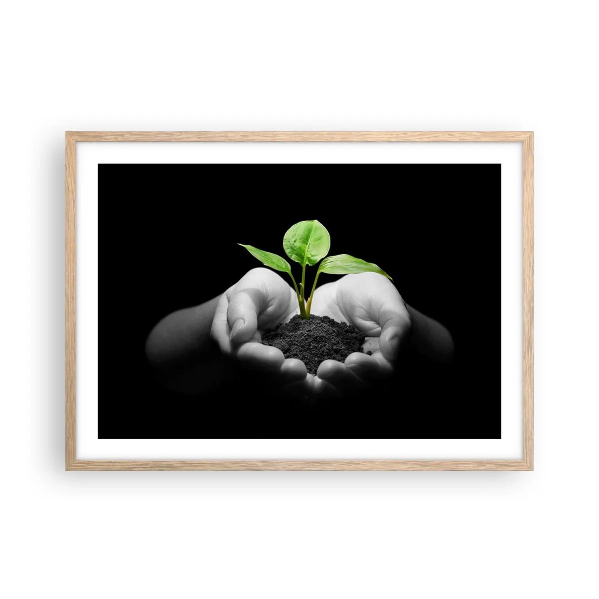 Affiche dans un chêne clair - Poster - J'aime la nature, je la protège - 70x50 cm