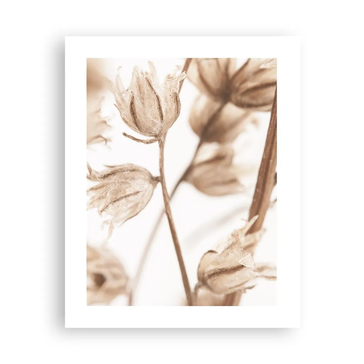 Affiche - Poster - Ils appellent à la fin de l'été - 40x50 cm