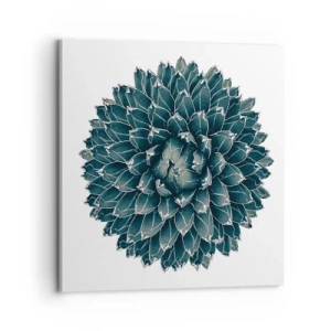 Impression sur toile - Image sur toile - Étoile du désert - 70x70 cm