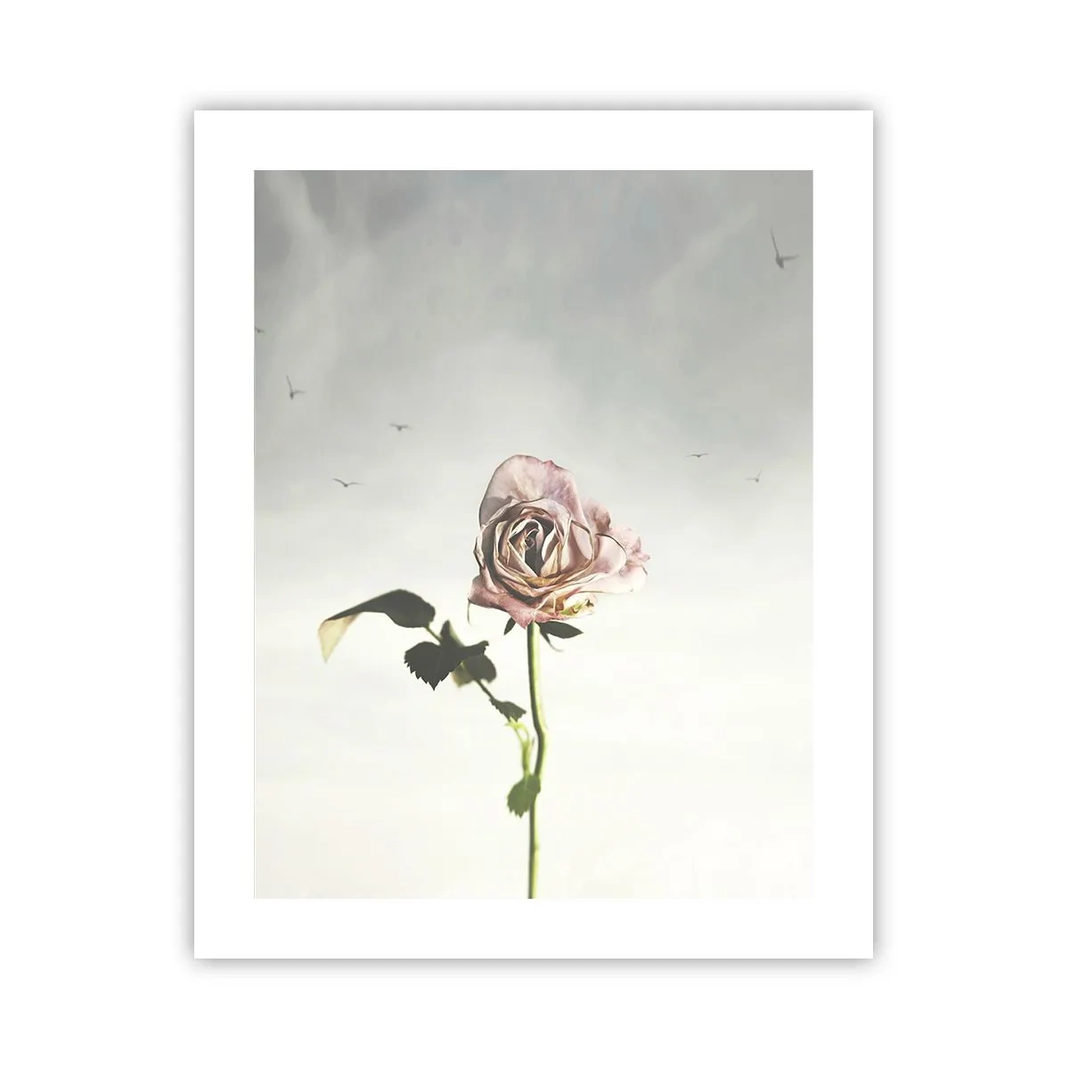 Affiche - Poster - Bonjour de printemps - 40x50 cm
