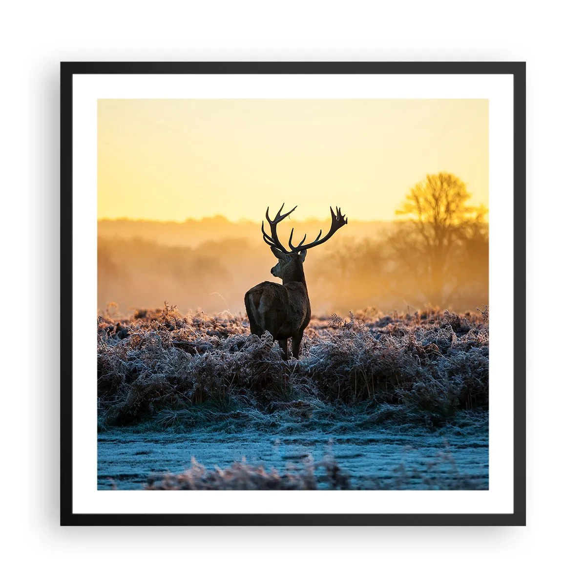Affiche dans un cadre noir - Poster - Couronné pour sa succession - 60x60 cm