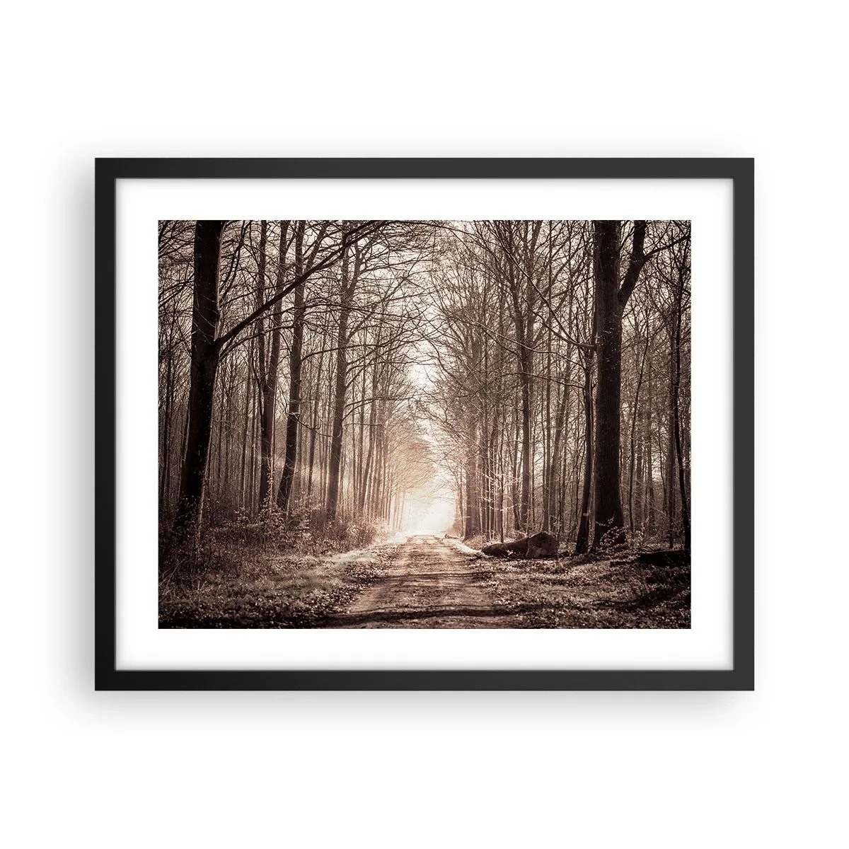 Affiche dans un cadre noir - Poster - Cathédrale de la forêt - 50x40 cm
