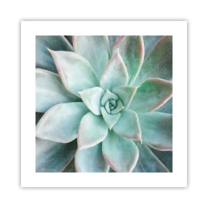 Affiche - Poster - Le coeur du désert - 40x40 cm