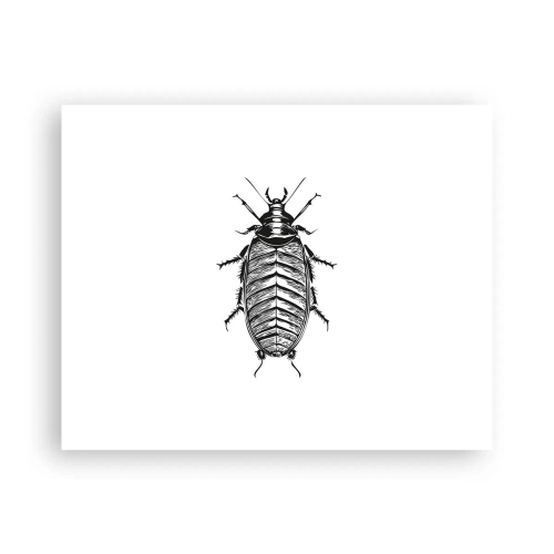 Affiche - Poster - Quel spécimen! - 50x40 cm