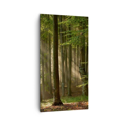 Impression sur toile - Image sur toile - Rayon d'un matin de printemps - 55x100 cm