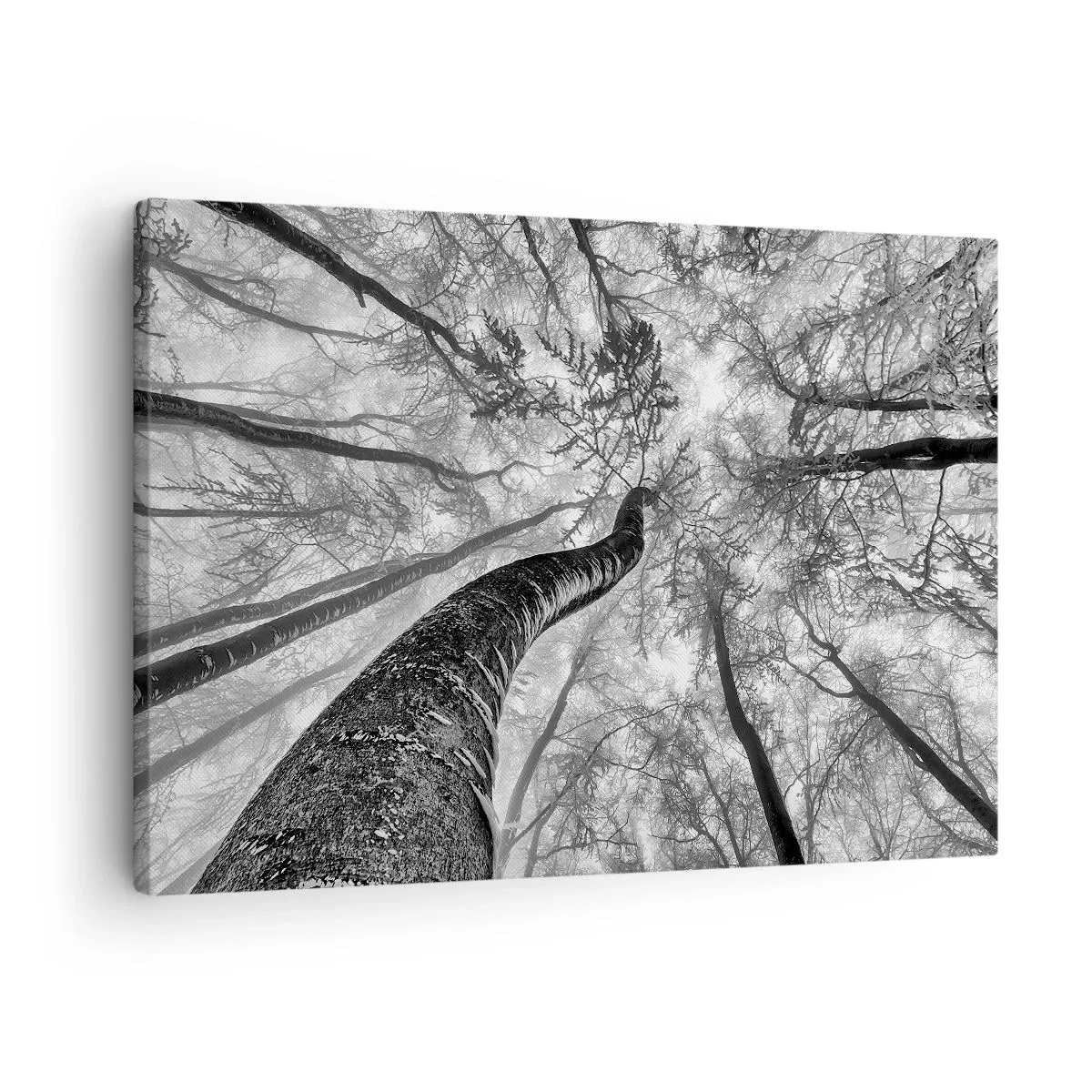 Impression sur toile - Image sur toile - Course vers la lumière - 70x50 cm