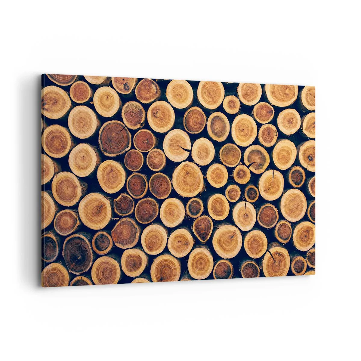 Impression sur toile - Image sur toile - Modèle réalisé à partir de sections transversales de bûches de bois - 120x80cm - Quel âge je semble avoir ? - Décoration murale moderne pour le salon et la chambre ARTTOR