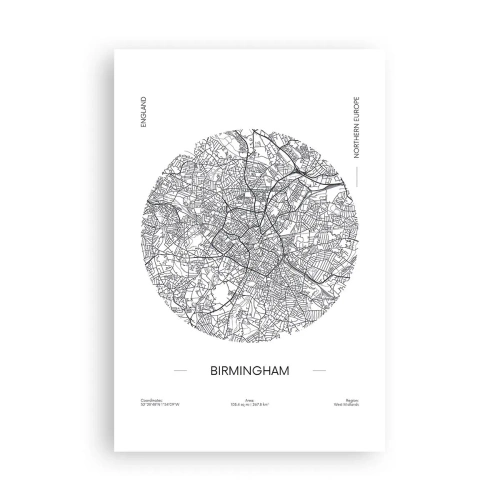 Affiche - Poster - Anatomie de Birmingham - 61x91 cm