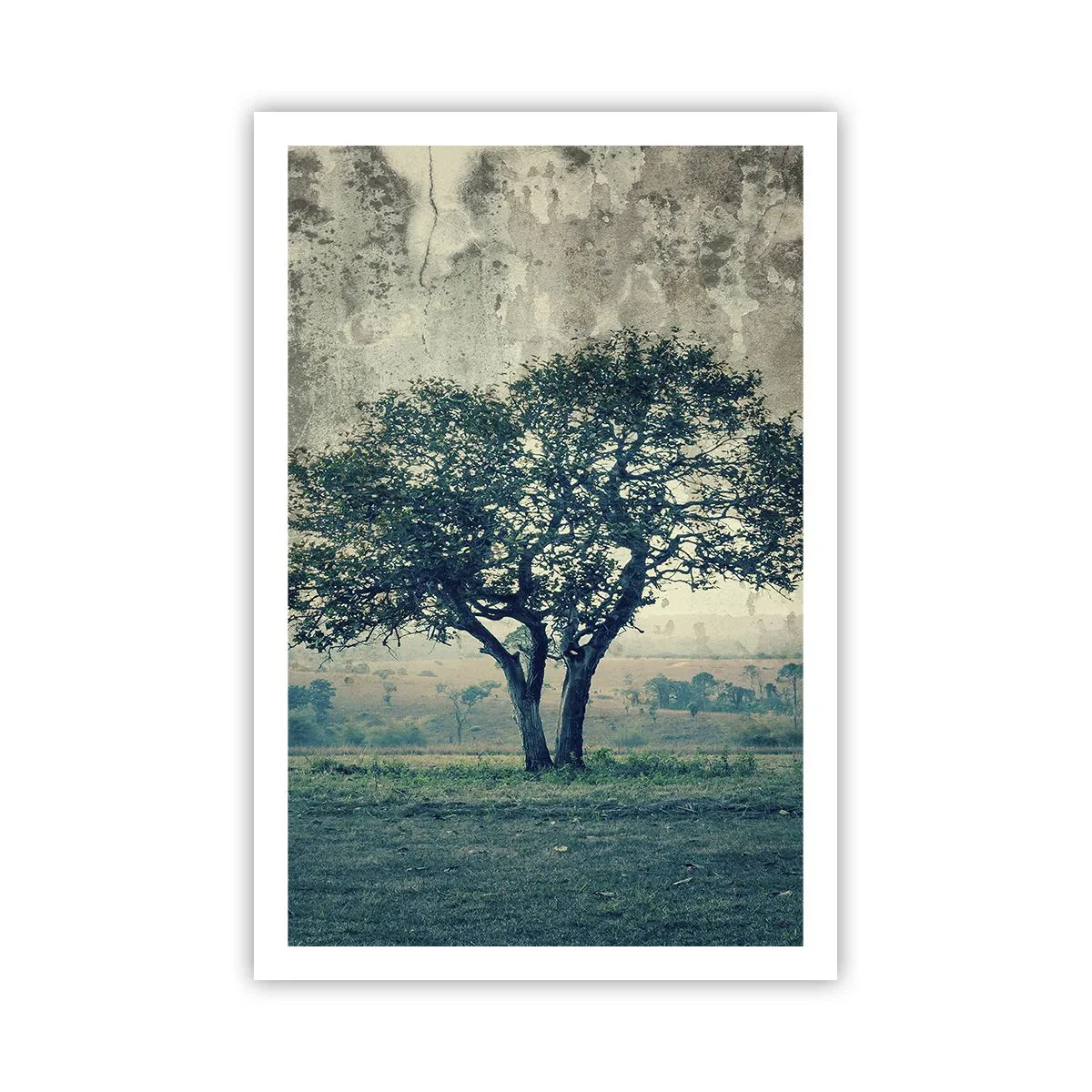 Affiche - Poster - Un pommier sur un champ bleu ? - 61x91 cm