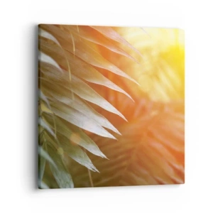 Impression sur toile - Image sur toile - Matinée dans la jungle - 40x40 cm